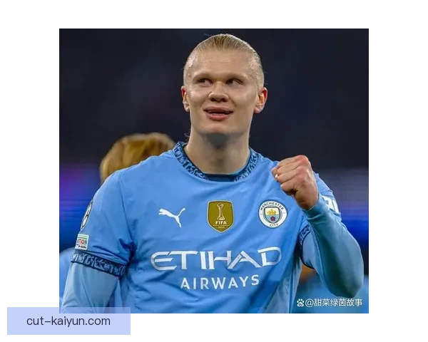 哈兰德：揭开北欧维京人精神的现代传奇，展现了令人瞩目的竞争力提升